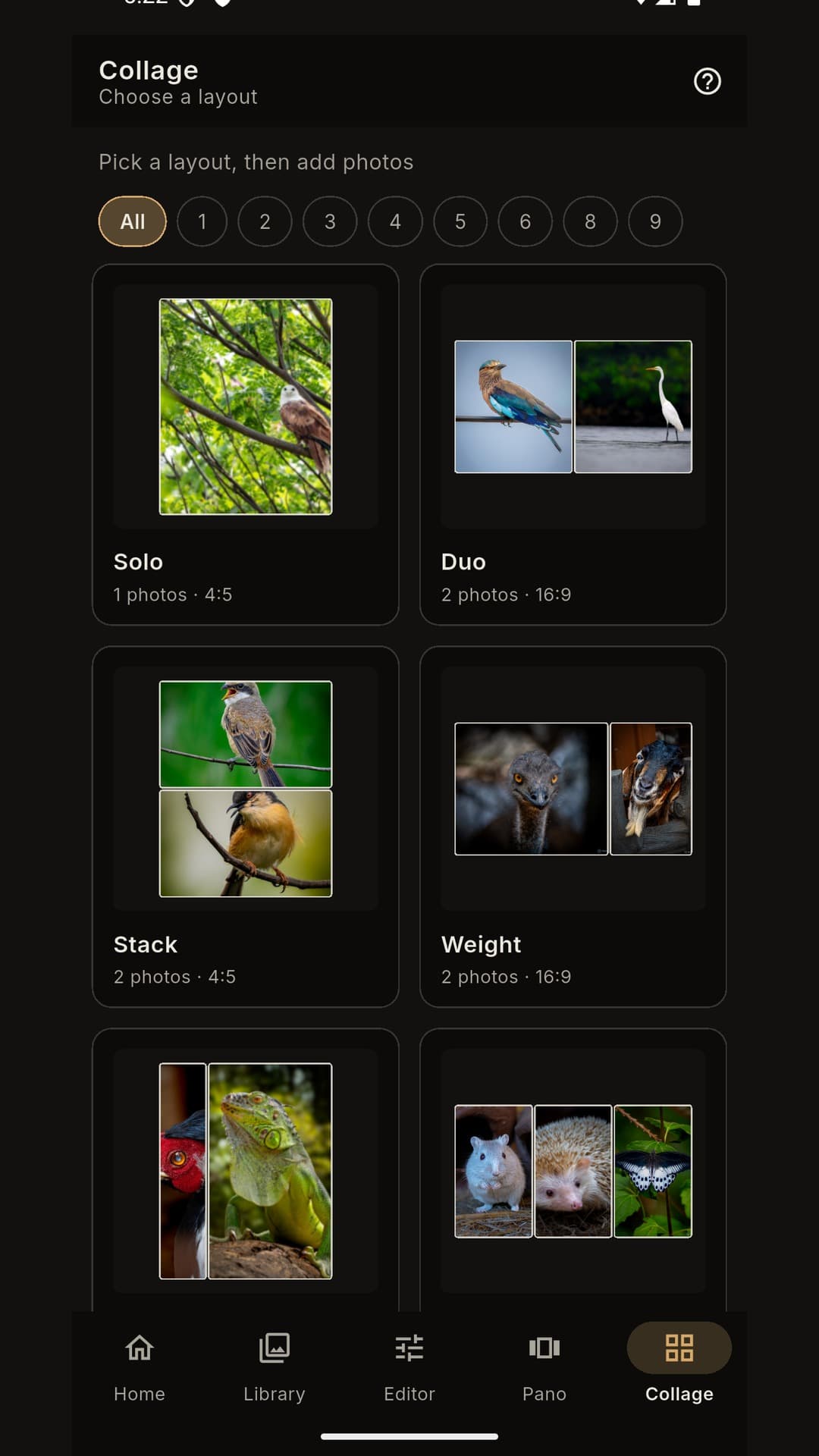 Trails RG Studio Collage — Soft Feature layout with wildlife photos