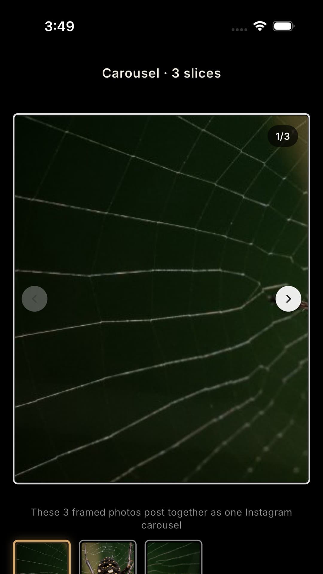 Trails RG Studio — Instagram-style carousel preview of panorama slices