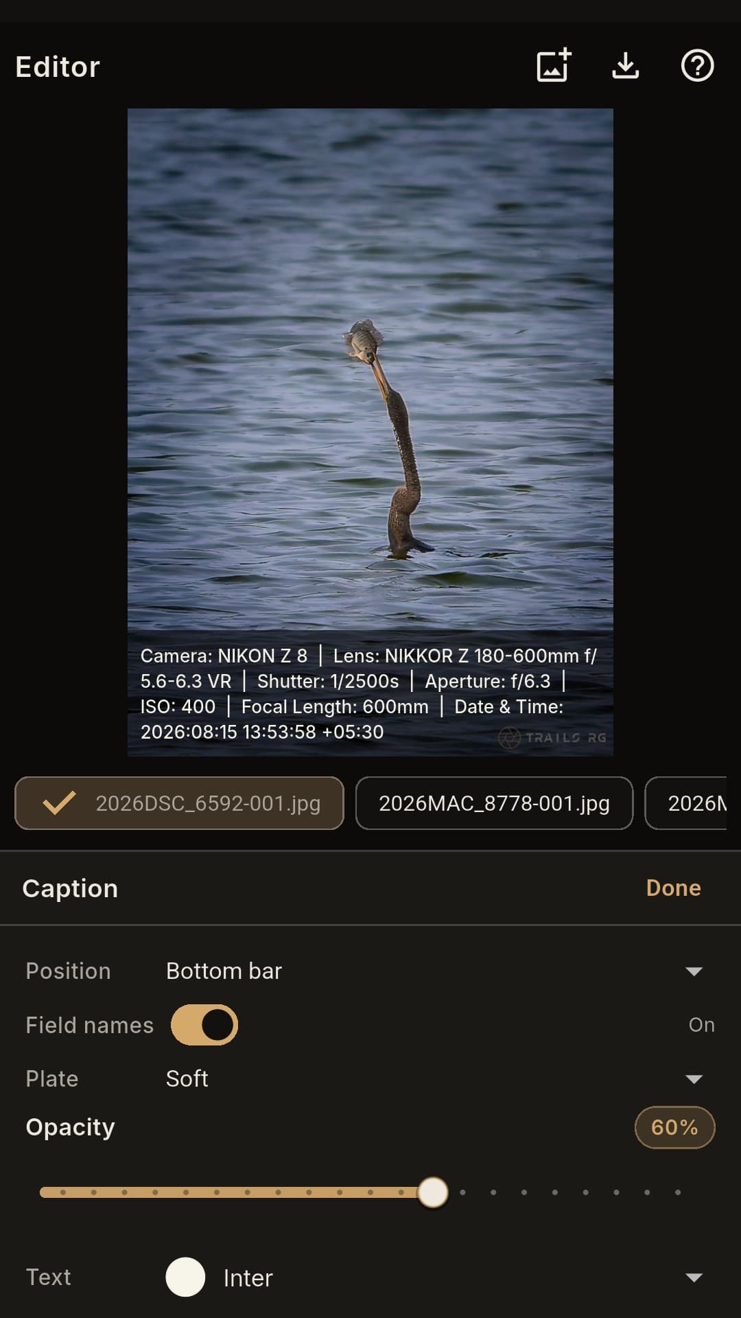 Trails RG Studio Metadata view — EXIF caption overlay and caption controls
