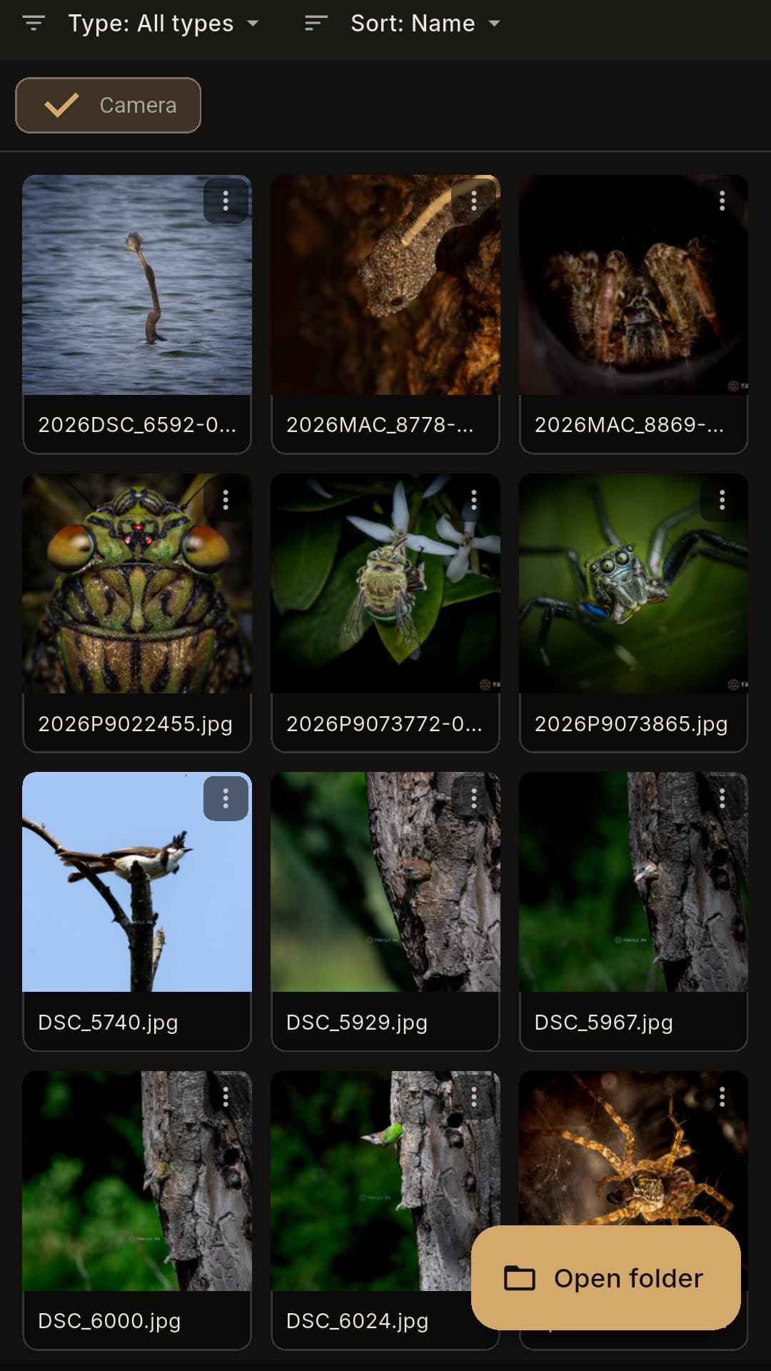 Trails RG Studio Library — browsing a photography folder